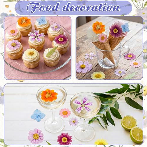 96 Pcs Pressed Dried Flowers, Colorful, Flower Leaf Style | Natural Dried Flowers for Cake Topper Cupcake, Cocktails Garnish, Resin Jewelry DIY, Soap, Candle Making Art Crafts - color: Colorful, style: Flower Leaf Style
