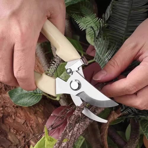 Premium Branch Pruning Shears – Stainless Steel Blade, Drop Forged Body & Handles, Ultra-Fine Polishing Technology for Deadheading, Trimming, and Shaping Trees