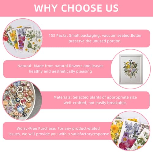 Botanical Pressed Flower Set – Real Dried Flowers & Leaves for Resin Art, Scrapbooking, Candle Making, and DIY Nature Crafts