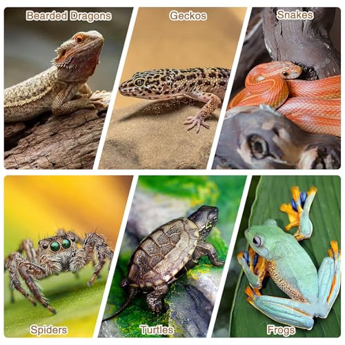 Fhiny 4 PCS Cork Bark Background, 11.6" x 7.7" Natural Cork Bark for Reptiles Bearded Dragon Climbing Backdrop Terrarium Habitat Wall Decor Accessories for Turtle Gecko Lizard Snake Spider Frog