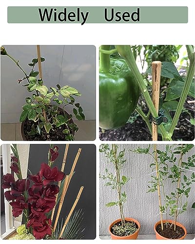 30 Pcs 16 Inch Bamboo Stakes Plant Support with Ties for Potted Plants - size: 16 INCH-30 PACK & Ties