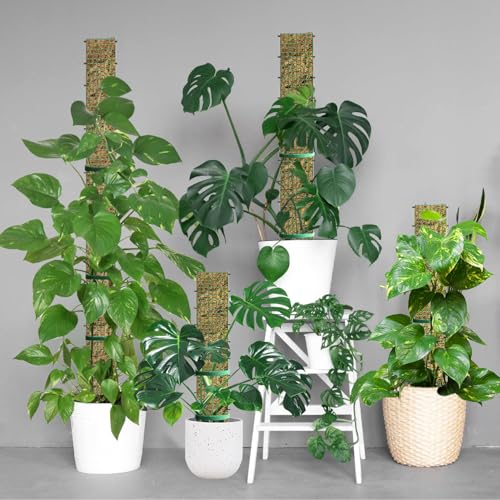60" Metal Moss Pole, D Shape Sphagnum Moss Pole, Moss Poles for Climbing Plants, Monstera, Indoor Climbing Plants (4Pcs 60") - style: 4Pcs 60"
