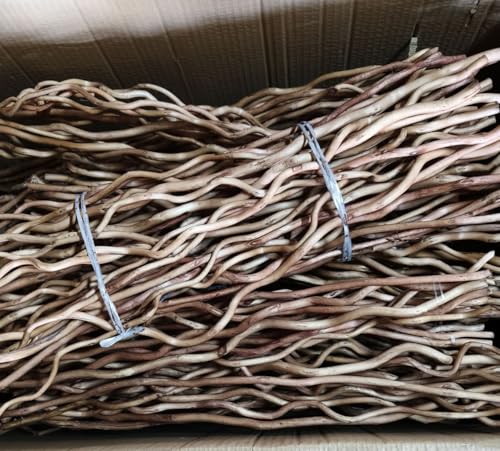 Dried Curly Willow Branches, 14-15 Stems Dried Twigs Sticks 21-23” Natural Dried Plants Decorative Branches for Rustic Home Decor, Champagne Gold - size: Champagne Gold 21-23 Inch
