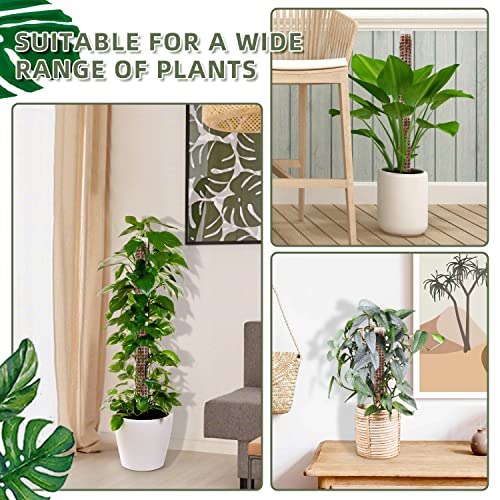 Small Moss Pole for Monstera - Stackable & Refillable Plastic Moss Poles for Climbing Plants with Large Mesh Design (4Pack-White-Small) - size: 4Pack-White-Small