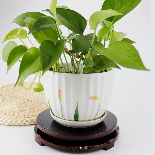 Wooden Display Stand Rotatable Circular Vase Stand Base Antique Jade Stand for Teapot Vase Plant Pedestal Table Home Decoration Household