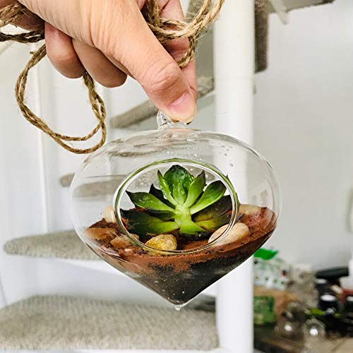 WGV Glass Hanging Plant Terrarium, Width 5", Height 5.5", Turnip DIY Succulent Air Planter Clear Tea Light Votive Candle Holder for Event Home Garden Outdoor Decor, 1 Piece - size: Turnip
