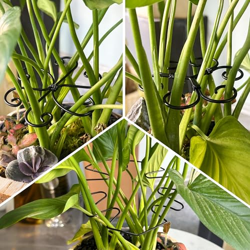 5PCS Monstera Plant Stem Support, 7.3 * 6.5 in Adjustable Stake with Leaf Holders for Indoor Plants, Unique Plant Support Kit for Climbing Plants Outdoor (Monstera) - style: A 7.3*6.5in