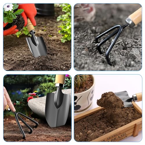 3 Pcs Mini Garden Tools Set, Iron Kit Including Small Trowel, Mini Shovel & Hand Rake for Succulent/Bonsai & Pot Plants - style: 3 Pcs