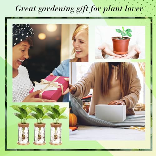 Baderke 9 Packs Propagation Vases for Plants Plastic Plant Propagation Station with Hole Lid and Bamboo Stand Growing in Water Hydroponic Home Office Table Decoration(Classic Style) - style: Classic