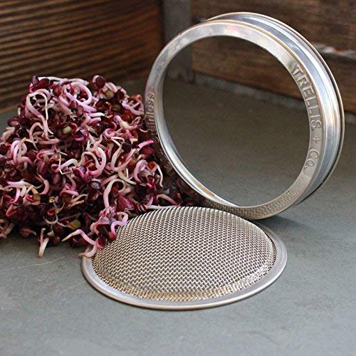 Stainless Steel Sprouting Kit 4 Pack Rust Proof 316 Stainless | With Sprouting Stands, Curved Mesh, Fits Most Wide Mouth Mason Jars | Grow Your Own Organic Sprouts From Seeds - color: Sprouting Lids + Stands, size: 4 Pack