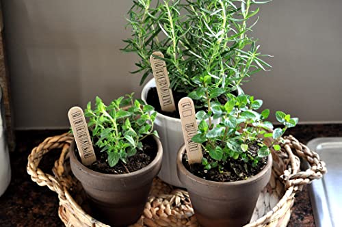 Doter Organic Potting Soil Mix 4qt for All Indoor & Outdoor Small Containers Including Herbs, Vegetables, and Flowers - size: 4qt