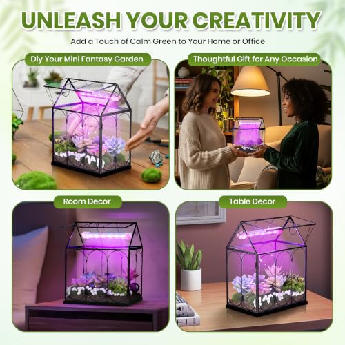Mini Glass Venus Fly Trap Terrarium with Grow Light 9.8"x5.9"x 9" | For Venus fly traps succulents and moss, USB 5W grow light with timer, Clear glass copper frame, Desktop home office decor - size: 9.8"x5.9"X 9"