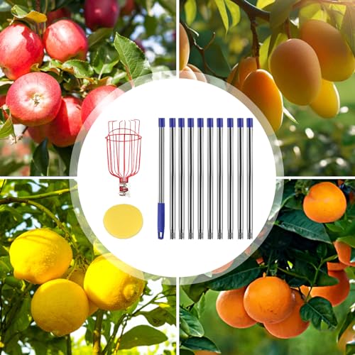 Qiullen 13 FT Extendable Fruit Picker Pole Tool Adjustable Long Handle Fruit Picker Metal Basket Fruit Grabber Tool with Protective Foam Pad Stainless Steel Garden Picker Tool for Apple Mango Lemon