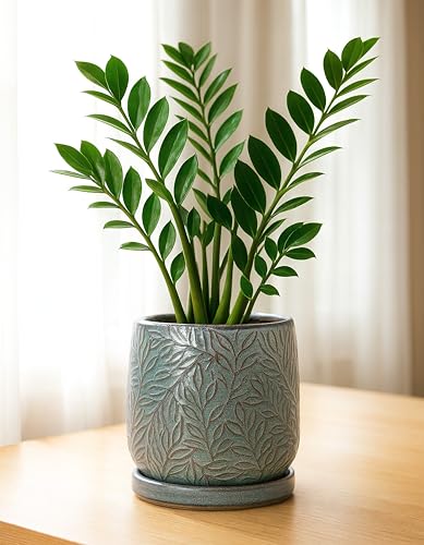 D'vine Dev Embossed Leaves Ceramic Planter, 6 in, Graphite Blue, 27-A-X-9 - color: Graphite Blue, size: 6 Inch