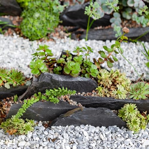 YISZM Slate Rock for Aquarium, 5-7 Inch Polished Natural Stone Rocks,40 lbs - color: 40 lbs, size: 5-7 Inch