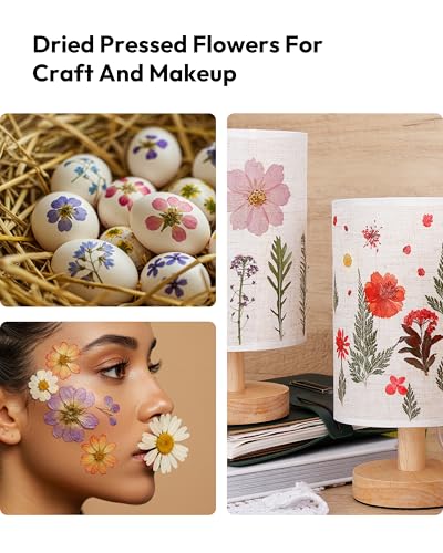 Dried Flowers, Resiners 100Pcs Pressed Flowers for Craft Real Natural Dried Flowers Dry Leaves Kit for DIY Making Crafts Resin Soap Candle Scrapbook Supplies Card Making Jewelry - color: Brilliant 100pcs