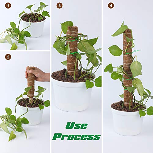 Augshy Moss Pole - 20 Inch Coir Totem for Monstera Climbing Indoor Creepers Plant Support Extension (2 Pieces, 12 Inch Each) - size: 20 inches