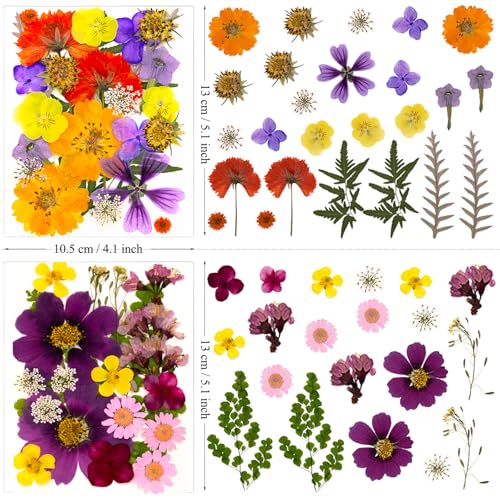 46Pcs Pressed Dried Flowers Real Natural Leave for DIY Resin Molds Candle Jewelry Nail Crafts