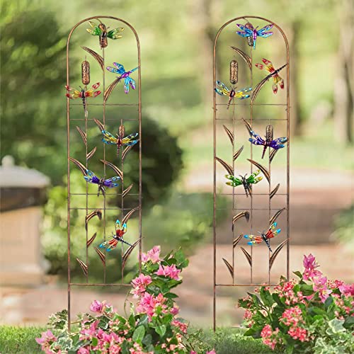 2 Pack Metal Garden Trellis for Climbing Plants - color: Dragonfly