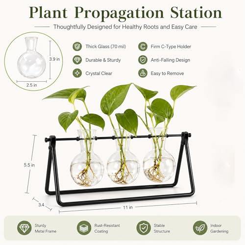 Plant Propagation Stations, Plant Terrarium with Minimalist Metal Stand