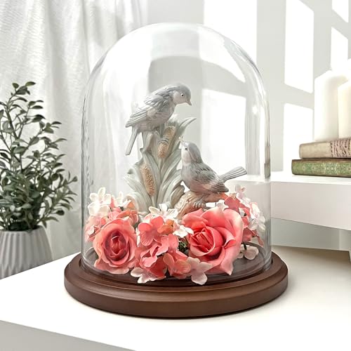 Plymor 8 inch x 10.25 inch Glass Display Dome Cloche (Dark Wood Base) - color: Dark Wood Base