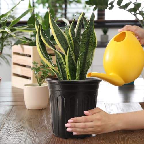 100 Pack 1 Gallon Flexible Plant Nursery Pots - size: 1 gallon--6.5 inch(100pcs)