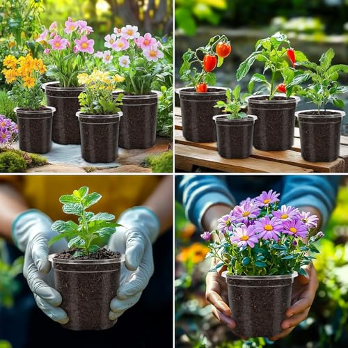 30 Pack Clear Nursery Plant Pots, 4 Inch with Drainage Holes, 20 Labels - size: 4 inch 30p