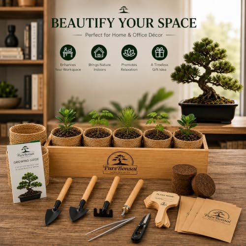 Bonsai Tree Starter Kit for Beginners – Complete Indoor Growing Kit with 5 Unique Japanese Bonsai Tree Seeds Pots & Gardening Tools DIY Gift for Adults