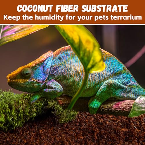 Legigo 6 Pack Coconut Fiber Substrate, Natural Coco Coir Reptile Bedding | Reptile Substrate for Tortoises, Snakes, Hermit Crabs, Bearded Dragon and Turtles, Bioactive Terrarium Soil & Plant Substrate - color: 6 Pack