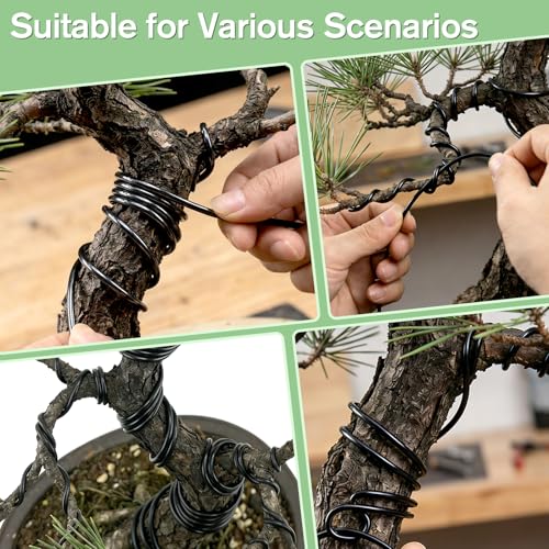 Bonsai Wire Kit, 147 Feet Total,5 Sizes