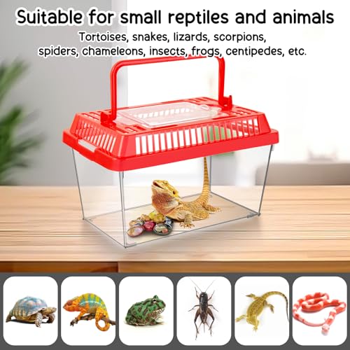 12Pcs Plastic Reptile Terrariums Carrier Cage, Tarantula Enclosure Breeding Box Hatching Container Transparent Fish Tank Turtle Aquarium with Random Color Lid for Hermit Crab, M(7" x 4.3" x 4.3") - size: M