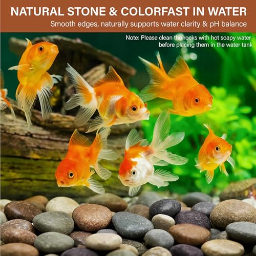 NUPICK 6lb Mexican Beach Pebbles, 2-3" Large River Rocks for Landscaping - color: Mixed, size: 2-3" (6 lb)