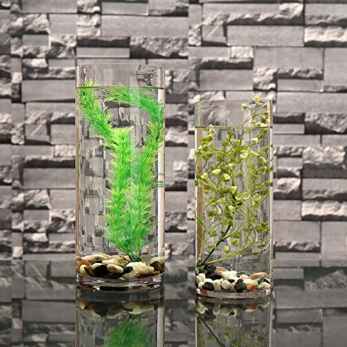 WGV Cylinder Vase, Width 8", Height 16", Clear Wide Large Diameter Flower Glassware, Floral Container, Planter Terrarium for Wedding Party Event, Home Accent Decor, 1 Piece - size: 8"x16"H