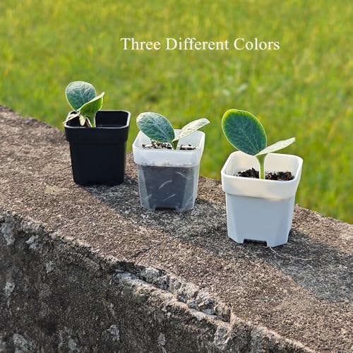200 Pack 1.95 Inch Tiny Clear Plastic Square Nursery and Seedling Pot, Mini Transplant Seed Starter Planter with Drain Hole for Germination, Herb, Succulent - color: Clear, size: 1.95 inch