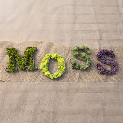 Super Moss 21707 Reindeer Moss Preserved, Chartreuse, 4-Ounce