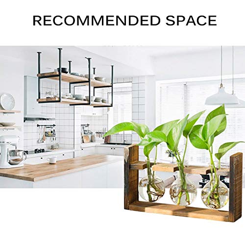 Kingbuy Glass Plant Terrarium with Retro Wood Stand, 3 Bulbs - color: Clear