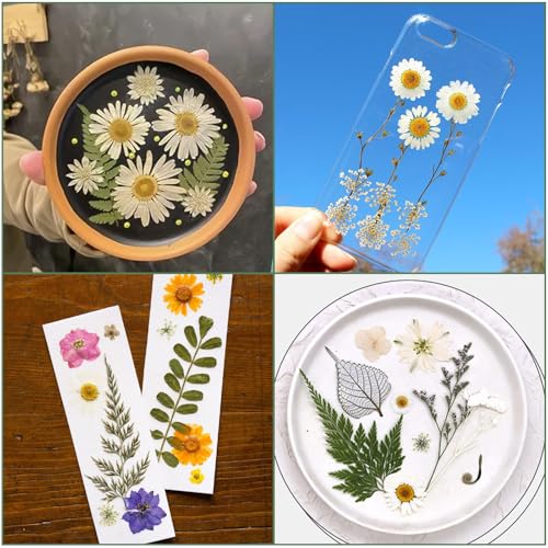 186 Pcs Dried Pressed Flowers for Resin Crafts, Real Natural Pressed Flowers and Leaves Kit Butterfly Stickers Vacuum Sealed Dry Flowers for DIY Epoxy Resin Jewelry Molds, Candle Soap Making, Nail Art - color: Ivory White 186pcs