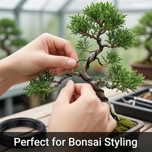 3 Roll Aluminum Bonsai Training Wire Tree Total Adjustable Wires Accessories for Holding Branches for Holding Branches Small Trunks (Black, 5m) - color: Black