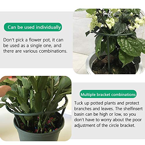 Mwellewm Plant Stakes Small Plant Supports for Indoor Plants Holder Sticks - size: 5.7 x 5.9inch