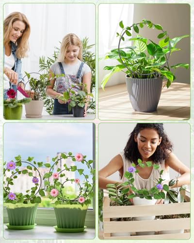 3 Pack Small Round Hoya Trellis, Indoor Climbing Houseplant Trellis, Black - color: Black