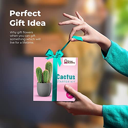 Cactus Kit Grow Your Own Cactus Seeds Starter Kit | Plants, Seeds & Bulbs | Easily Grow Beautiful Varieties of Cactus Plants with Complete Beginner Indoor Cacti Kit – House Plant - Men Women Gifts
