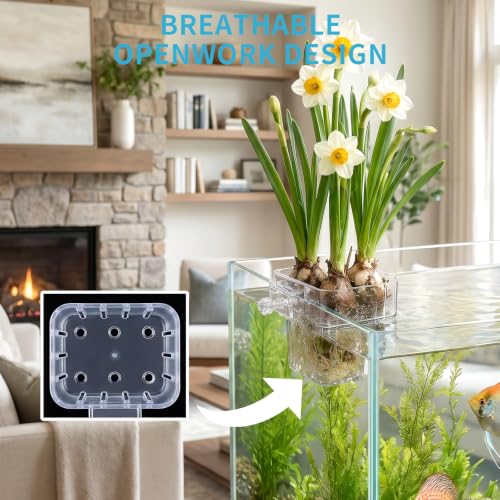 Aquarium Plant Holder, 4 Pack, Top Hanging for Fish Tank