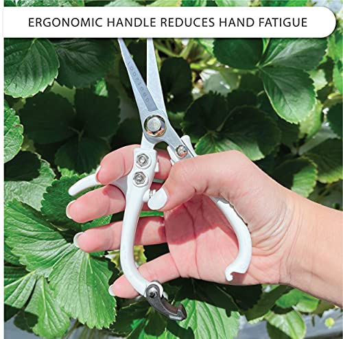 Precision Garden Trimming Scissors & Hand Pruner - White
