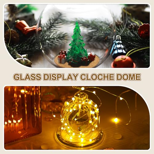 uxcell Round Cloche Glass Dome, 7.9" x 5.9" Decorative Glass Display Bell Jar, Glass Dome Cloche with Light Brown Base for DIY Flower Craft, Collectibles Specimens Plants Dustproof - size: 7.9" x 5.9"