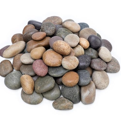 NUPICK 30lb Mexican Beach Pebbles, 2-3" Large River Rocks for Landscaping - color: Mixed, size: 2-3" (30 lb)
