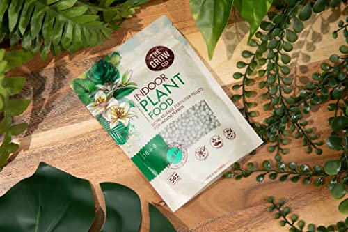 Indoor Plant Food, Slow Release Formula for Houseplants, 5oz - size: 5 oz
