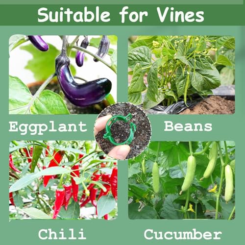 Plant Support Clips, 100 Pcs Tomato Clips, Plastic Trellis Clips, Grape Vine Tomato Vine Vegetables Plants Garden Support Clips to Grow Upright Makes Plants Healthier - color: Green