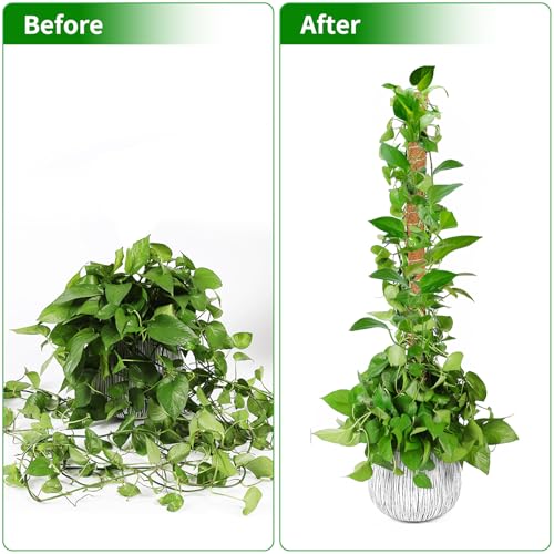 2 Pack Moss Pole, 63-Inch Moss Poles for Plants Monstera,Bendable Plant Support Stakes for Climbing Plants Indoor, Garden Trellis Plant Stick for Potted Plants, Pothos Philodendron - size: 2 Pack(63-Inch)