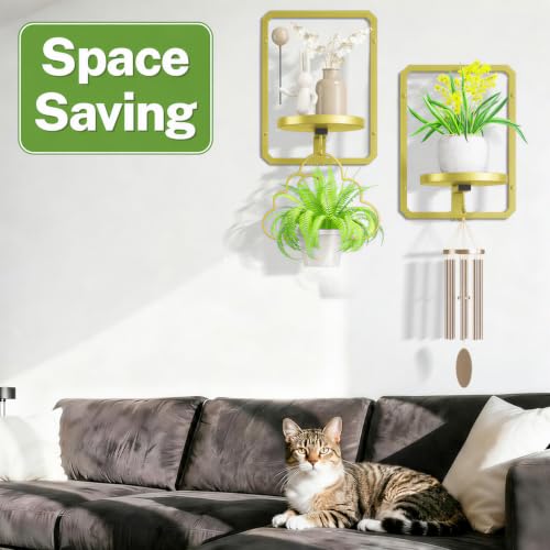 iDavosic.ly Wall Plant Picture Frame Holder Set of 2 & 2 Grow Light, Gold - color: Gold with 2 Lights, size: Rectangular