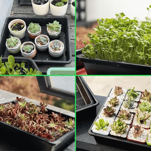 BeGrit Seed Starter Trays Mesh Tray 10-Pack 15x12 inch Plastic Plant Trays Garden Seedling Starter Kit Succulent Transport Pots Bonsai Training Pots - size: 15x12in 10-Pack